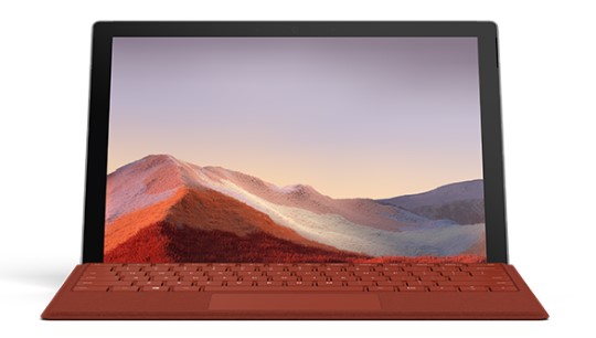 新竹镇清洁和维护 Surface